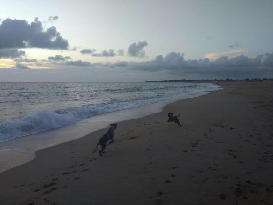 Precioso Apartamento A 50 Metros De La Playa Rincón de la Victoria Eksteriør billede